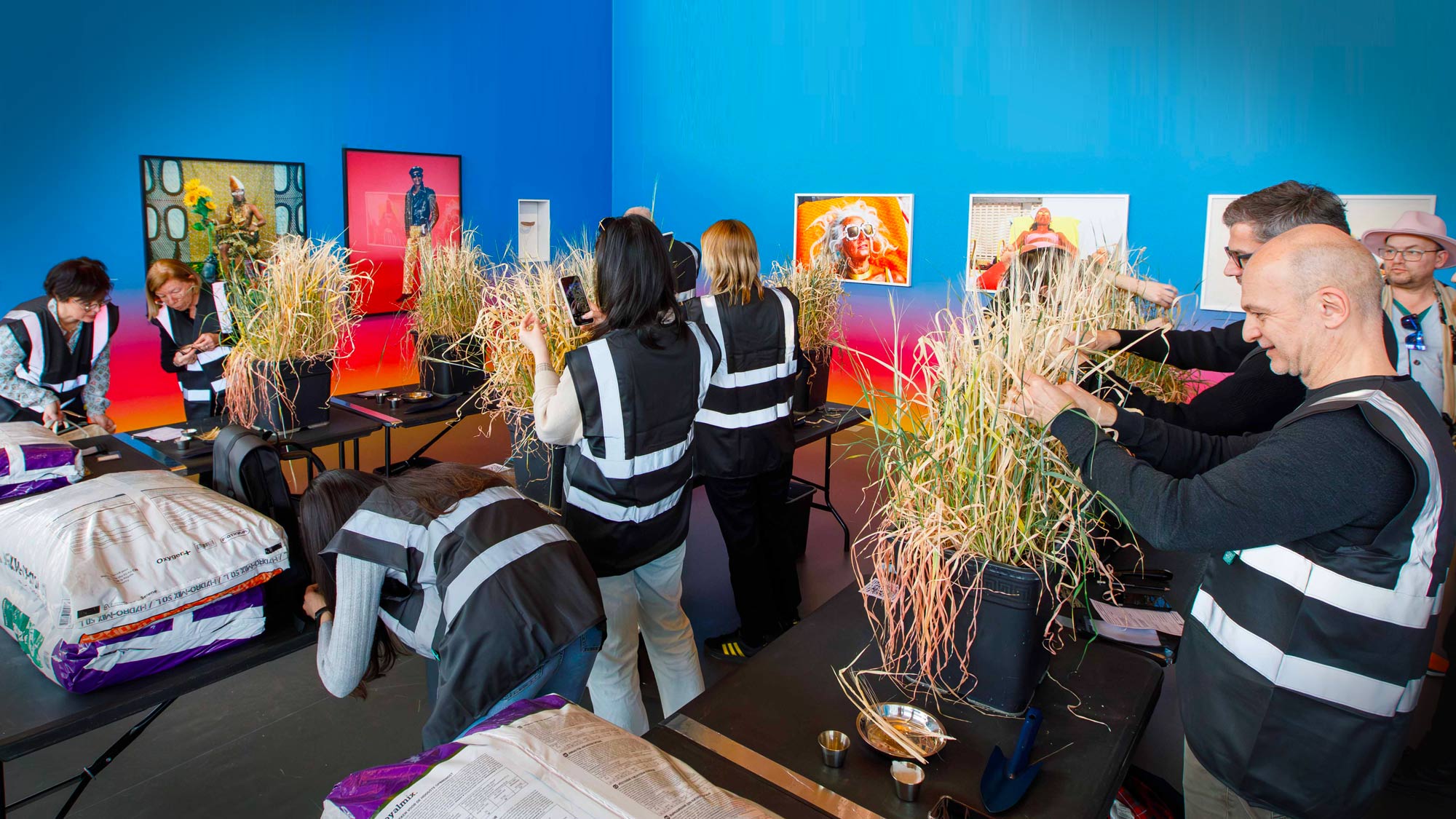 Harvest Performance - Life Support System, DISNOVATION.ORG